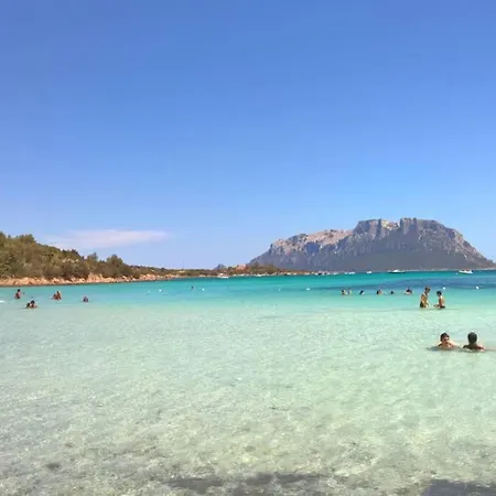 Olbia Mare Sardegna Marina Di Olbia *